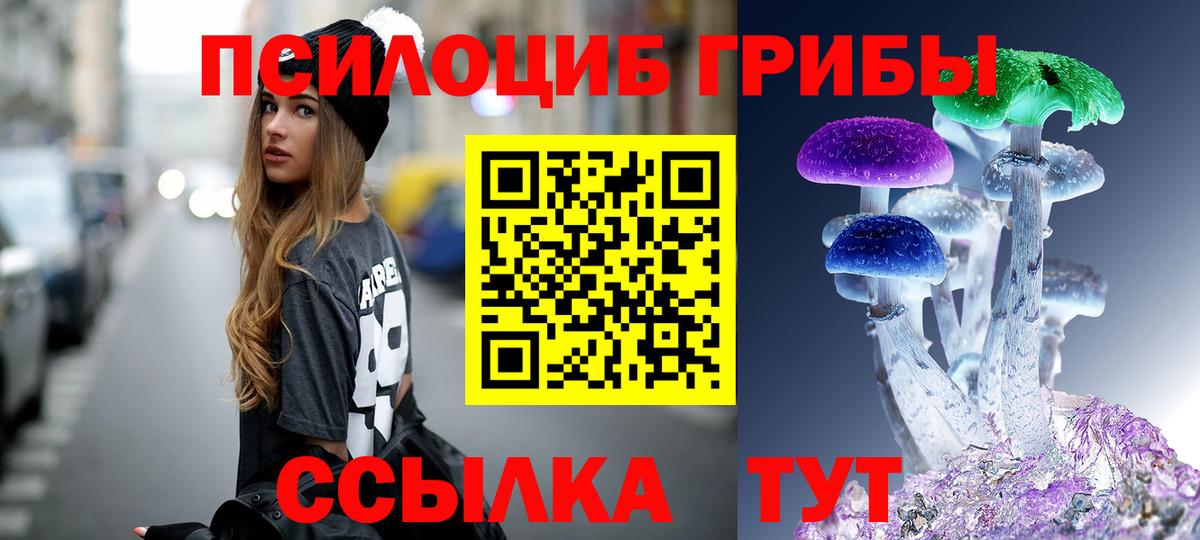 Галлюциногенные грибы прущие грибы Белебей