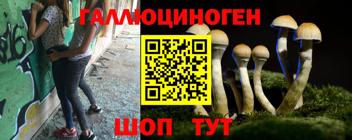 Псилоцибиновые грибы Psilocybine cubensis  Вход с VPN  Белебей 